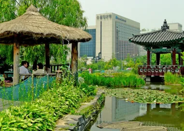 Seoul to Jeju Halal Trip in 7-Day