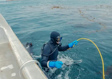 Seoul to Jeju Halal Trip in 7-Day
