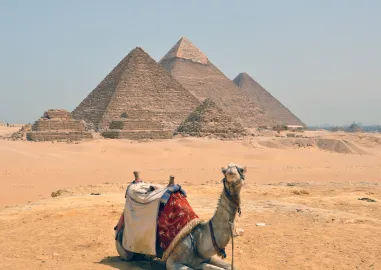 Eye of Horus Express from Cairo to Luxor and Nile Cruise with Sleeper Train in 6 Days