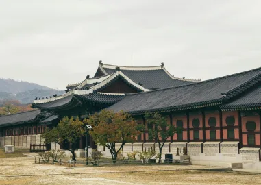 Seoul, Nami Island & Everland Getaway in 5-Days