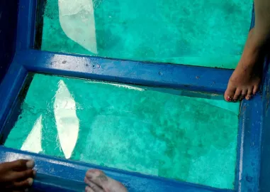 Tutankhamun Trail Trip in 8 Days with Cairo, Nile Cruise & Hurghada Reef Break