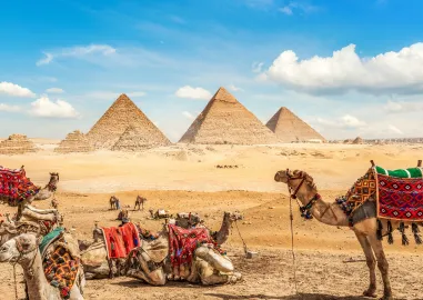 8 Day Egypt Highlights Halal Tour with Cairo Pyramids, Abu Simbel, Aswan & Luxor