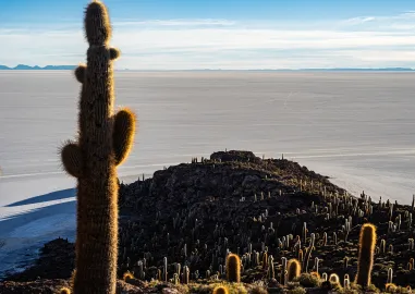 Andean Circuit: 10-Day Bolivia, Chile & Argentina Adventure