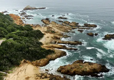 8 Days in Cape Town & Garden Route Safari, Coast & Winelands Tour