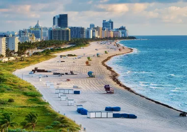 Orlando & Miami: Disney Magic, Animal Adventures & Vibrant City Life