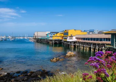 Western Wonders: 8-Day US West Coast Tour