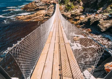 8 Days in Cape Town & Garden Route Safari, Coast & Winelands Tour