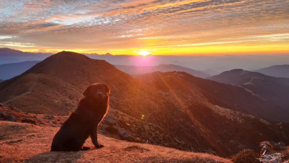 Day 02: Drive from Kathmandu to Dhap Bazaar 2850m, 8-9 hours, distance 250km by private vehicle