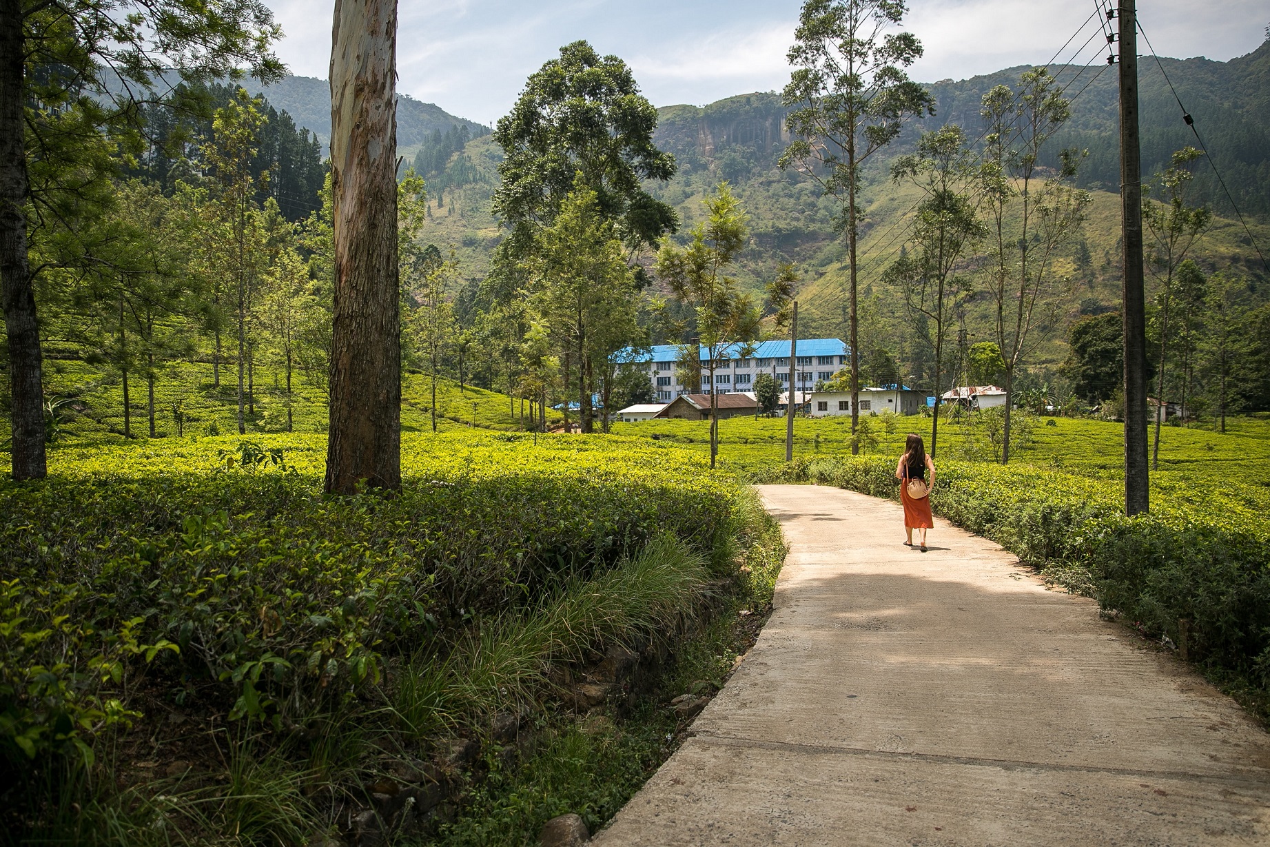 Spectacular Sri Lanka