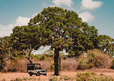 Let's Go Sri Lanka with Jeepney Safari Tour