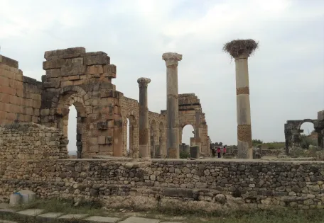 Day 04: Fez - Volubilis - Meknes - Marrakech