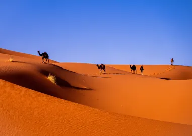 A Taste of Morocco Tour Package