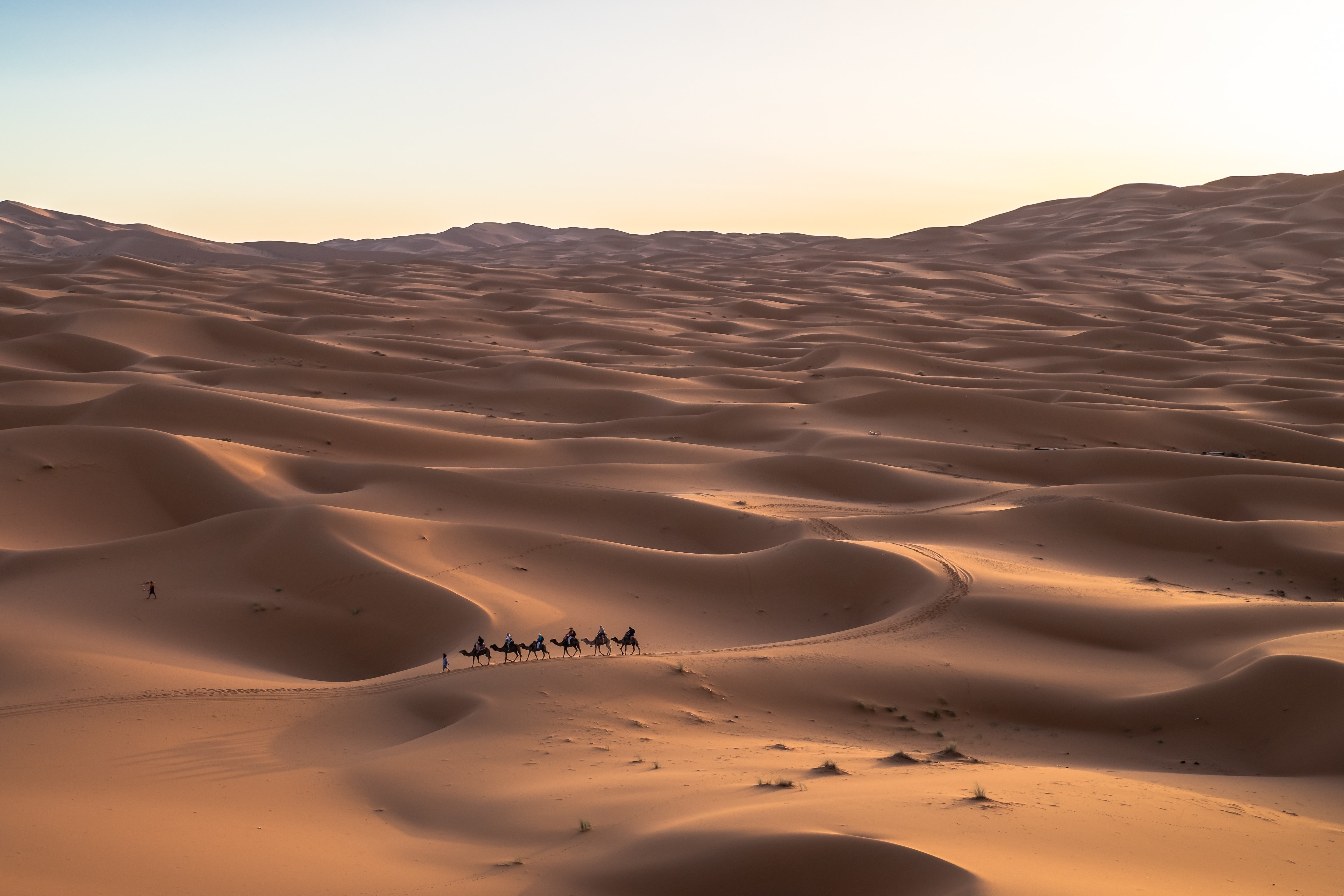 Imperial Cities and the Desert Package