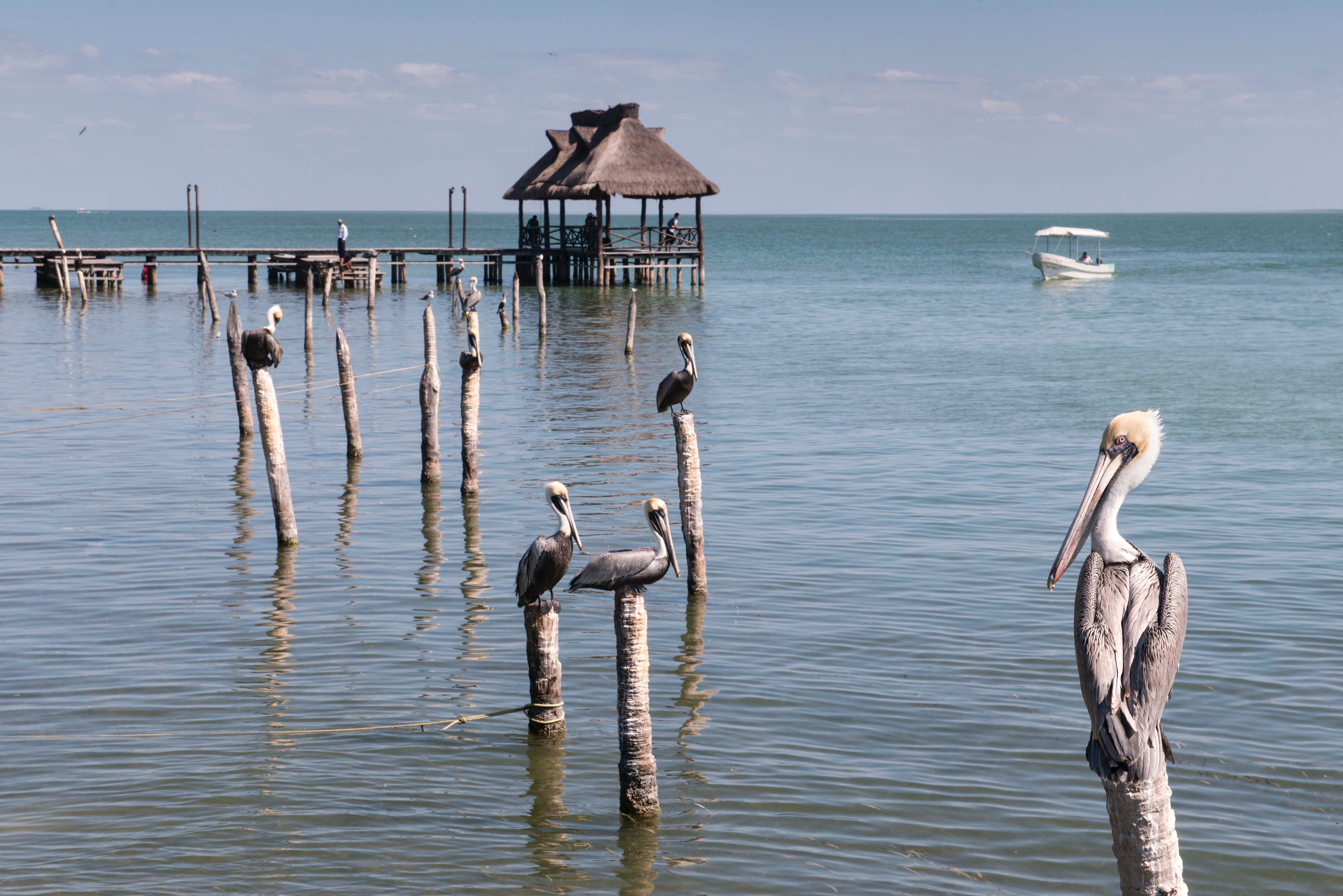 Day 11: Palenque – Campeche