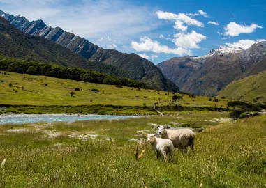 Best of New Zealand Package
