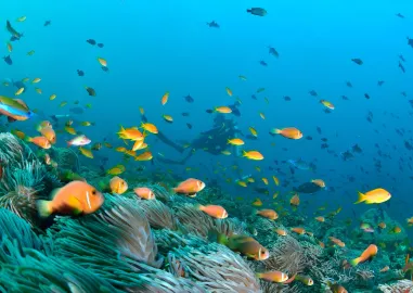 4-Night Maldives Leisure Escape at the Residence Maldives Falhumaafushi