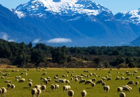 Day 05: Departure from Rotorua- Queenstown