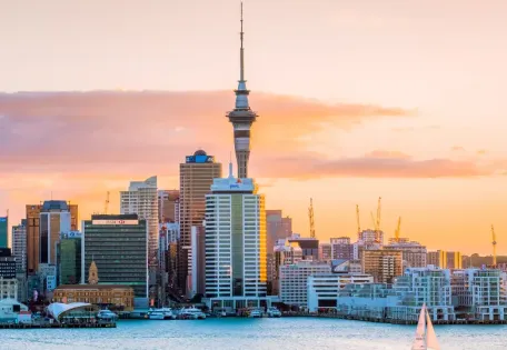 Day 02: Aukland Hop in hop off tour