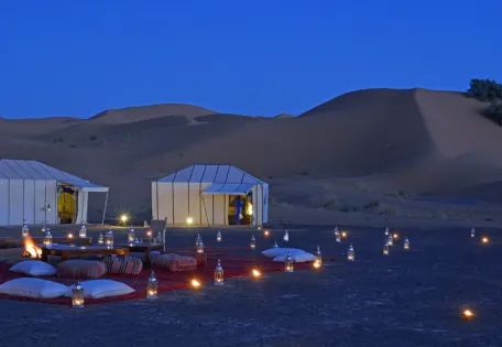 Day 3: Thrilling Desert Safari Experience