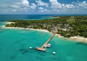 The Caribbean