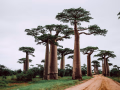Madagascar