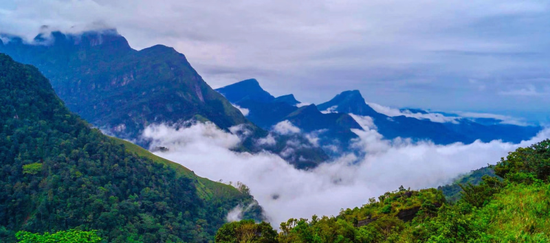 Image Source: https://www.google.com/url?sa=i&url=https%3A%2F%2Fwww.reddottours.com%2Fsri-lanka-activities%2Fknuckles-mountain-range&psig=AOvVaw3a074l1j5uNGDFiojSf_jV&ust=1732602857900000&source=images&cd=vfe&opi=89978449&ved=0CBQQjRxqFwoTCLi4w-Du9okDFQAAAAAdAAAAABAE
