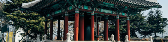 Seoul, Nami Island & Everland Getaway in 5-Days