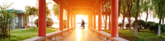 7 Days in East China Discovering Shanghai, Suzhou Gardens, Wuzhen Water Town & Hangzhou West Lake Private Tour