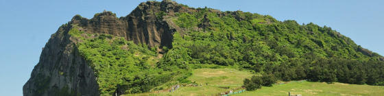 Seoul to Jeju Halal Trip in 7-Day