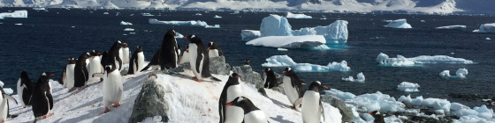 16 Day Antarctica Undiscovered and Rio de Janeiro Premium Tour 2026