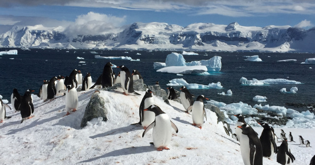 16 Day Antarctica Undiscovered and Rio de Janeiro Premium Tour 2026