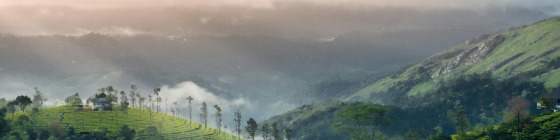 12 Day Enchanting Kerala Tour Package with Munnar Tea Gardens and Alleppey Houseboat