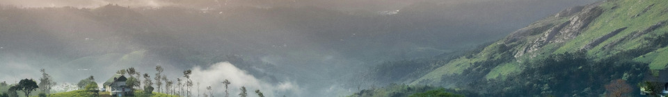 12 Day Enchanting Kerala Tour Package with Munnar Tea Gardens and Alleppey Houseboat