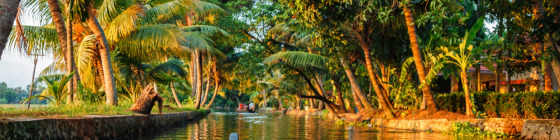 8 Day Kerala Backwaters and Marari Beach Luxury Tour Package
