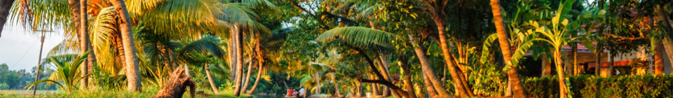 8 Day Kerala Backwaters and Marari Beach Luxury Tour Package