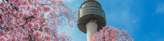 BTS Dream Tour Experience Korea Like a True ARMY