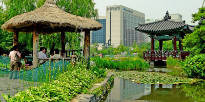 Seoul to Jeju Halal Trip in 7-Day tour photo 1