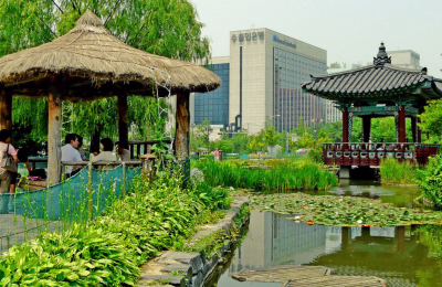 Seoul to Jeju Halal Trip in 7-Day highlight 1