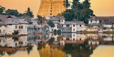 8-Day Kerala Nature & Culture Escape: Tea Plantations, Backwaters & Beach tour photo 2