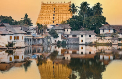 8-Day Kerala Nature & Culture Escape: Tea Plantations, Backwaters & Beach highlight 2
