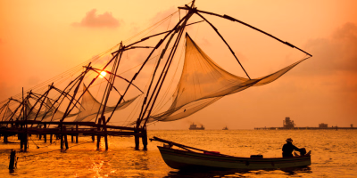 8-Day Kerala Nature & Culture Escape: Tea Plantations, Backwaters & Beach tour photo 1