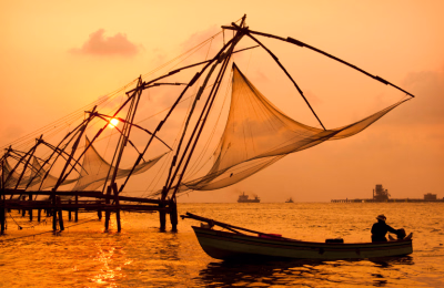 8-Day Kerala Nature & Culture Escape: Tea Plantations, Backwaters & Beach highlight 1