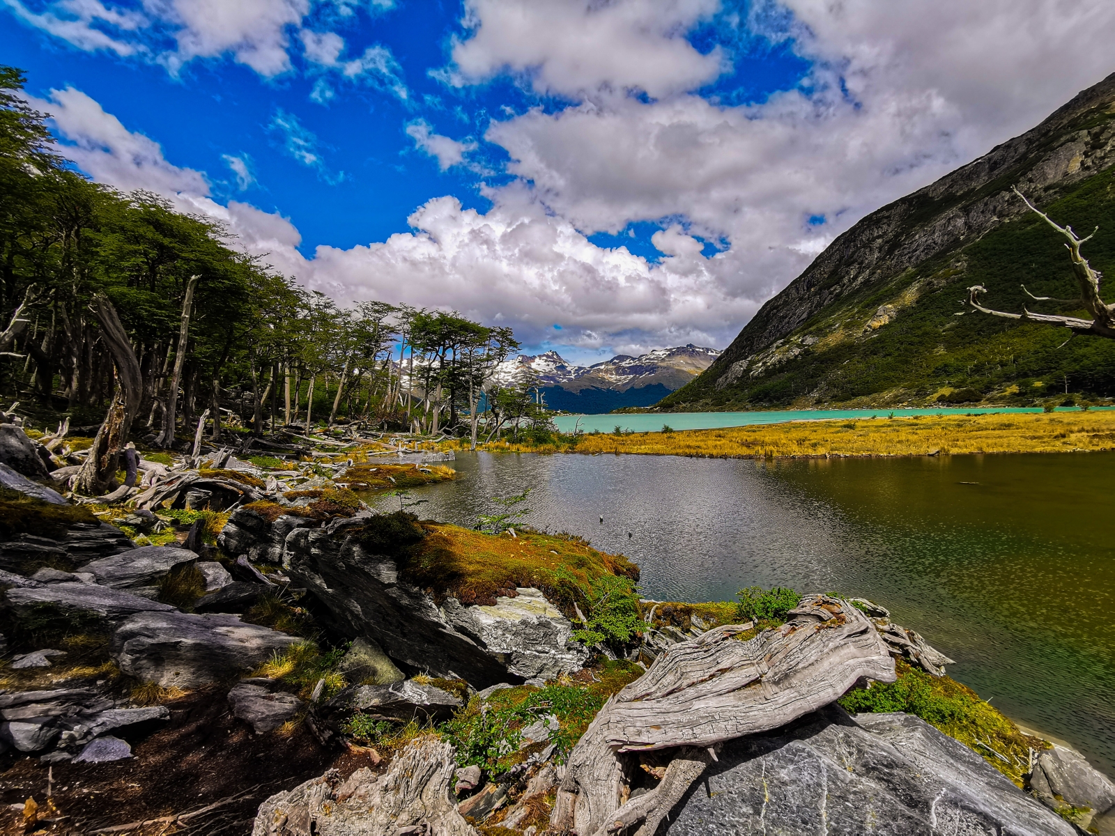 Tierra del Fuego National Park