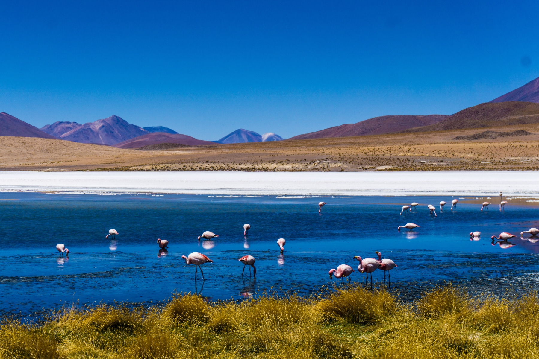 Salar de Uyuni