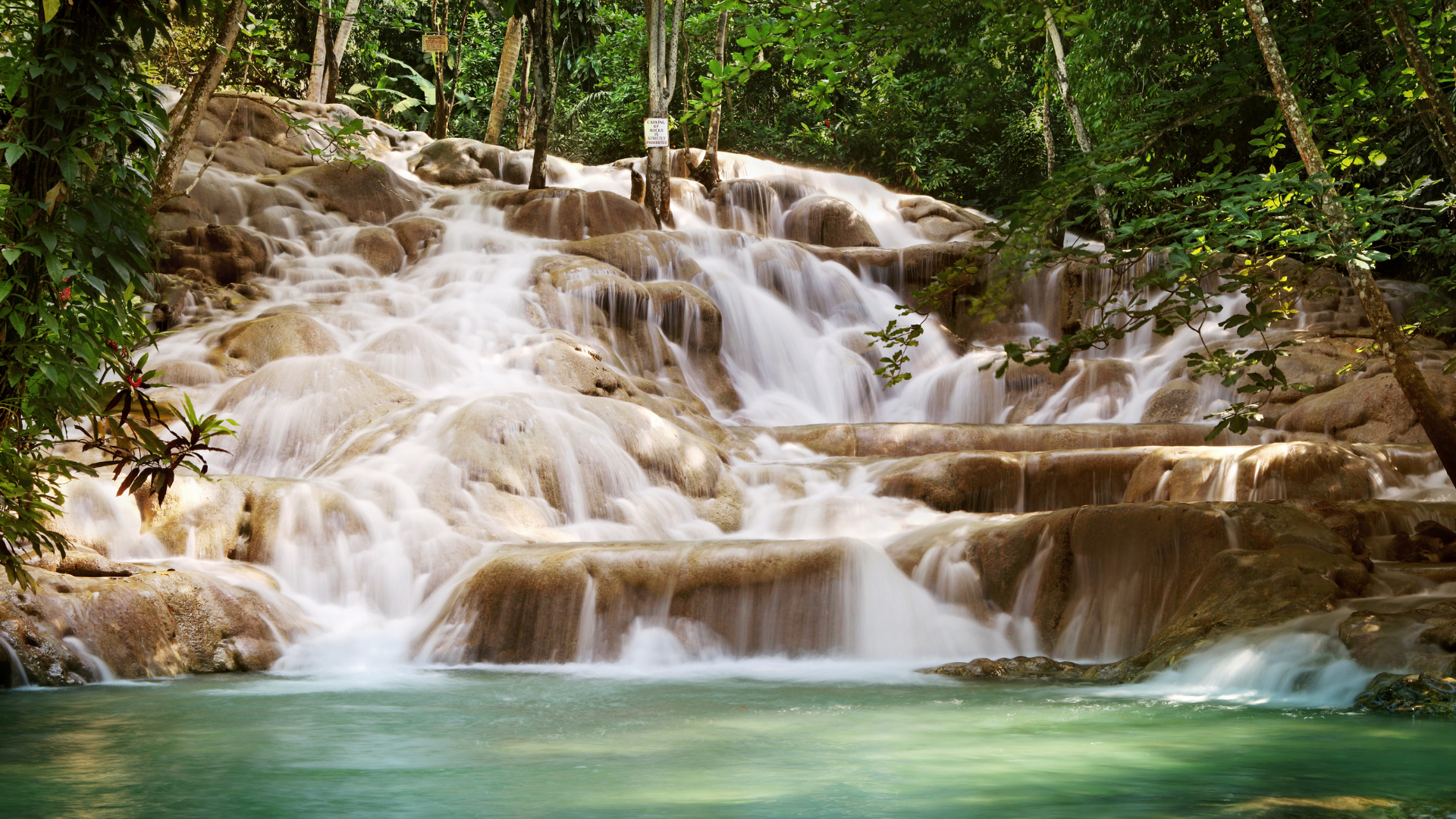 Dunns River Falls