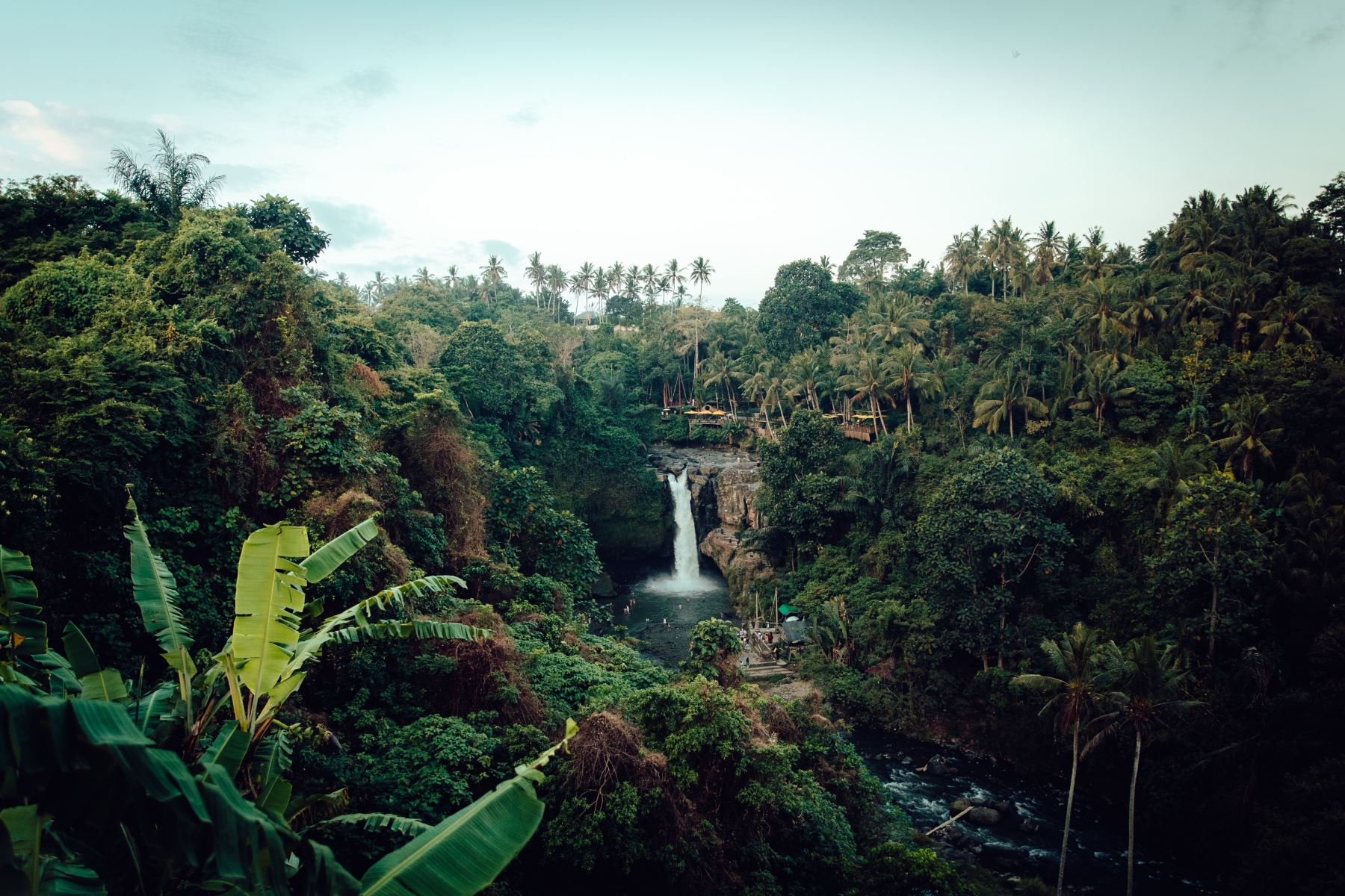 Amazon Rainforest