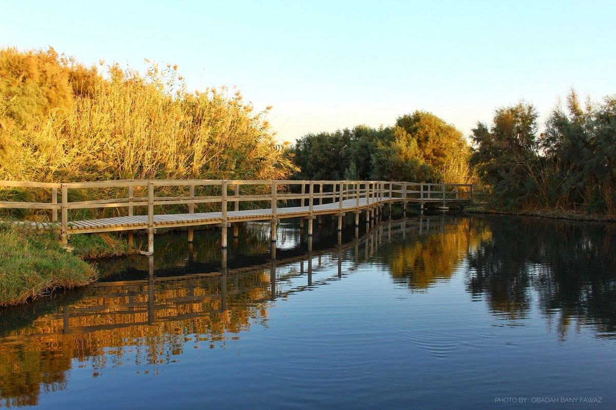 Azraq Wetland Reserve