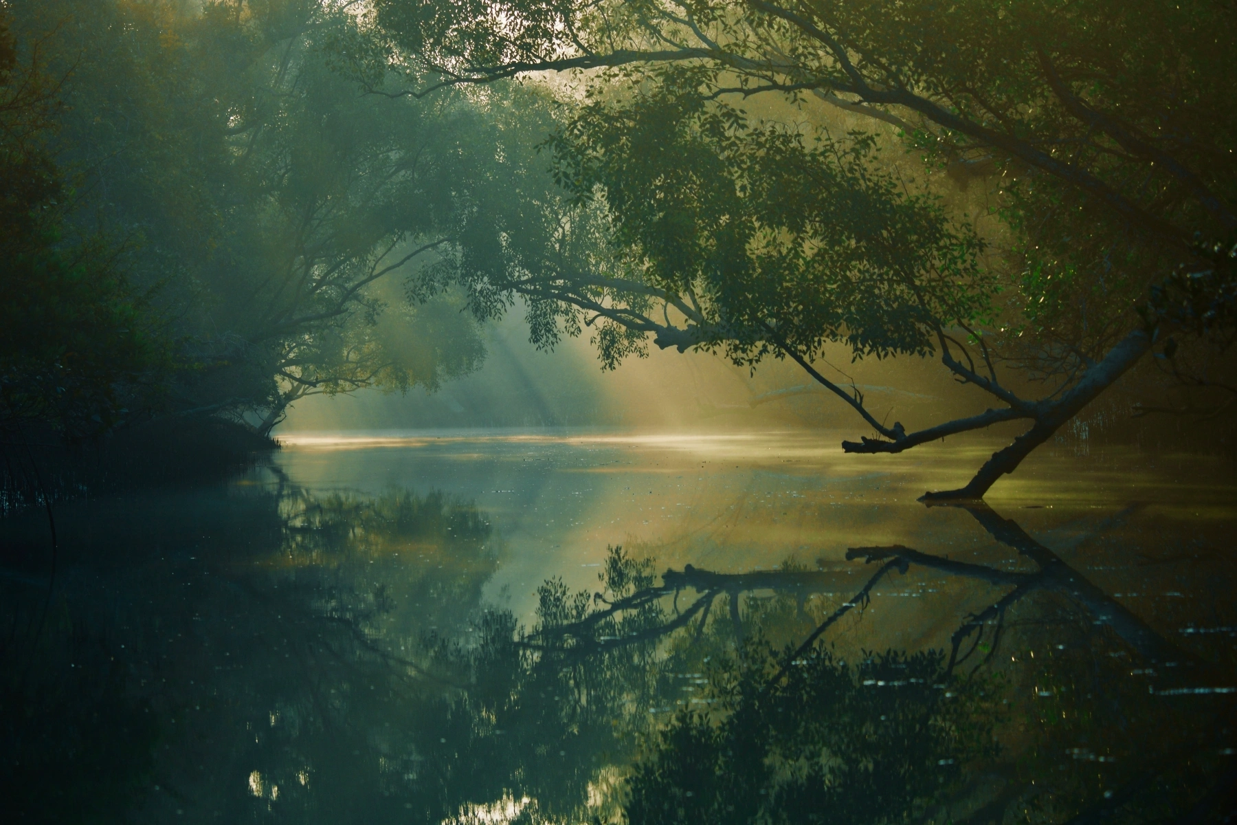 Sundarban