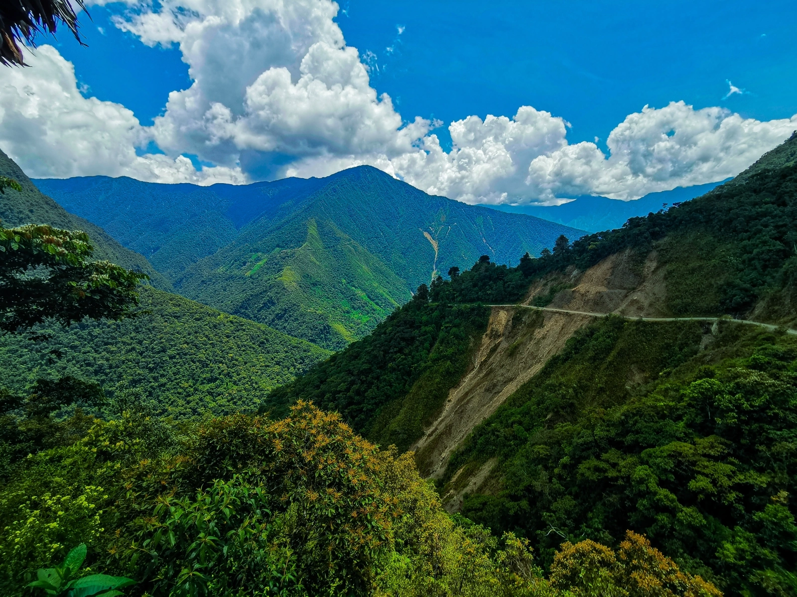 Yungas Road