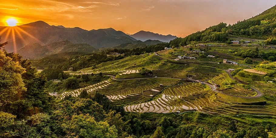 Banaue Rice Terraces